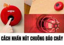 hướng dẫn sử dụng báo indonesia bóng đá