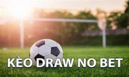 hướng dẫn sử dụng bet bong da