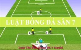 hướng dẫn sử dụng bóng đá 7 người