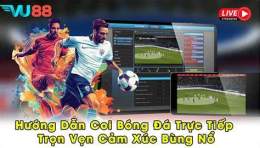 hướng dẫn sử dụng bóng đá 88 trực tiếp