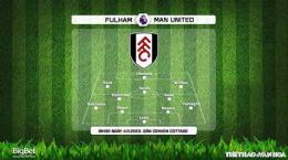 hướng dẫn sử dụng bóng đá fulham