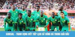hướng dẫn sử dụng bóng đá senegal