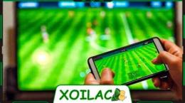 hướng dẫn sử dụng bóng đá trên kênh xôi lạc