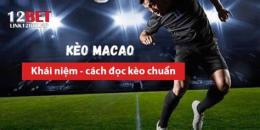 hướng dẫn sử dụng bong da ty le ma cao