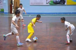 hướng dẫn sử dụng bóng đá u9 toàn quốc