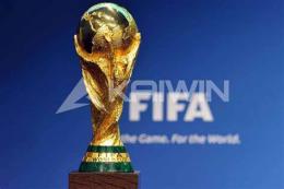 hướng dẫn sử dụng bóng đá world cup anh