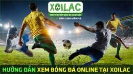 hướng dẫn sử dụng bong da xoi lac 365