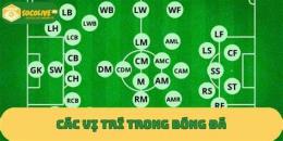 hướng dẫn sử dụng các vai trò trong bóng đá