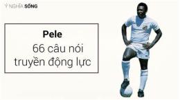 hướng dẫn sử dụng cầu thủ bóng đá pele