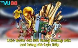 hướng dẫn sử dụng coi bong da