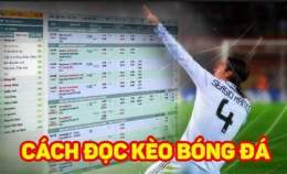 hướng dẫn sử dụng coi kèo bóng đá world cup