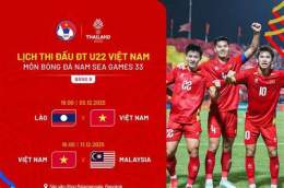 hướng dẫn sử dụng đá bóng việt nam gặp thái lan