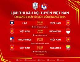 hướng dẫn sử dụng đá bóng việt nam mấy giờ
