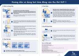 hướng dẫn sử dụng đan mạch bóng đá