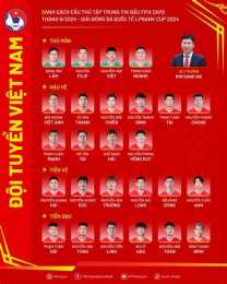 hướng dẫn sử dụng đội tuyển việt nam đá bóng