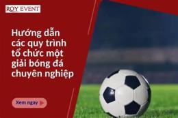 hướng dẫn sử dụng giải bóng đá chuyên nghiệp nigeria