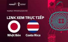 hướng dẫn sử dụng giải bóng đá costa rica