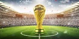 hướng dẫn sử dụng giải bóng đá thế giới world cup