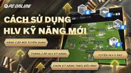 hướng dẫn sử dụng hlv bóng đá