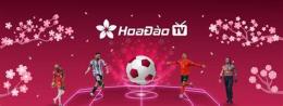 hướng dẫn sử dụng hoa đào tv bóng đá