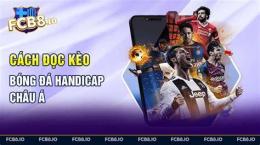 hướng dẫn sử dụng kèo bóng đá châu á aff cup