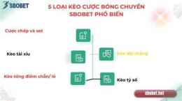 hướng dẫn sử dụng keo bong da sbobet