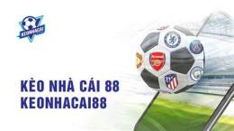 hướng dẫn sử dụng keo nha cai bong da 88