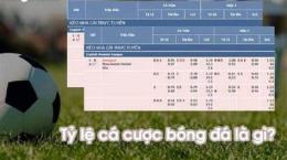 hướng dẫn sử dụng keonhacai55 bar tỷ lệ cá cược bóng đá bong88 html