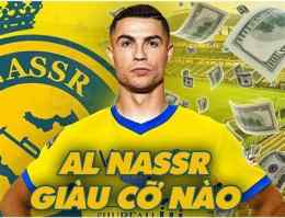 hướng dẫn sử dụng kết quả bóng đá al nasr