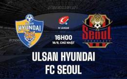 hướng dẫn sử dụng kết quả bóng đá seoul