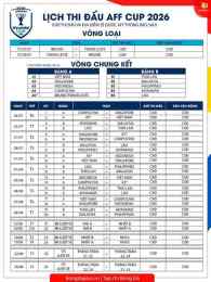 hướng dẫn sử dụng lich bong da hyundai cup 2026