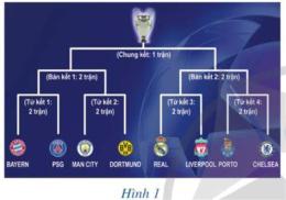 hướng dẫn sử dụng lịch thi đấu bóng đá uefa champions league