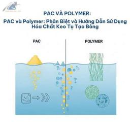 hướng dẫn sử dụng ltd bong da anh
