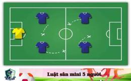hướng dẫn sử dụng luật bóng đá mini 5 người