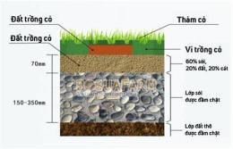 hướng dẫn sử dụng nền đá bóng