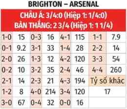 hướng dẫn sử dụng nhận định bóng đá brighton