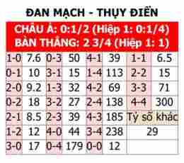 hướng dẫn sử dụng nhận định bóng đá đan mạch
