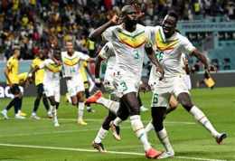 hướng dẫn sử dụng nhận định bóng đá senegal