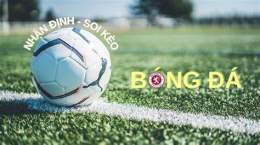 hướng dẫn sử dụng nhận định bóng đá sunderland