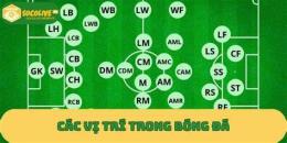hướng dẫn sử dụng những vị trí trong bóng đá