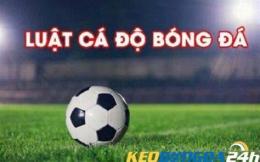 hướng dẫn sử dụng ra keo bong da hom nay