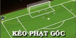 hướng dẫn sử dụng soi kèo phạt góc bóng đá net