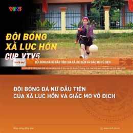 hướng dẫn sử dụng tại sao vtv5 không xem được bóng đá