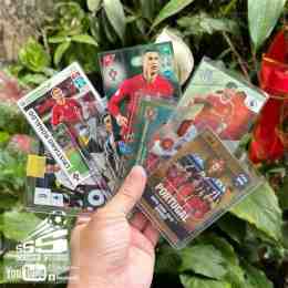 hướng dẫn sử dụng thẻ cầu thủ bóng đá panini
