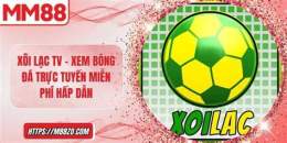 hướng dẫn sử dụng tip vàng bóng đá miễn phí vaobo com