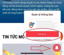hướng dẫn sử dụng trang chu bong da tin tuc hinh su cuoi