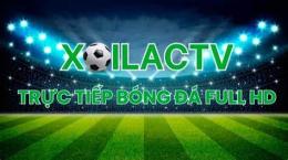 hướng dẫn sử dụng trực tiếp xôi lạc bóng đá world cup