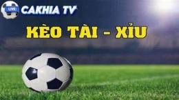 hướng dẫn sử dụng ty ca cuoc bong da hom nay