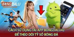 hướng dẫn sử dụng ty so bong da ai cap
