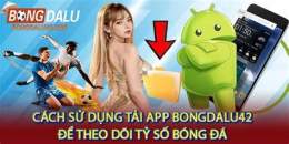 hướng dẫn sử dụng ty so bong da blu